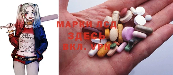 стаф Горняк
