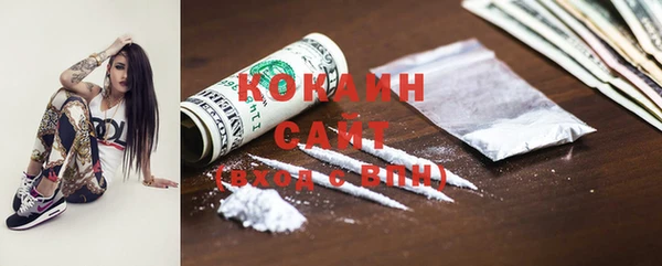 стаф Горняк