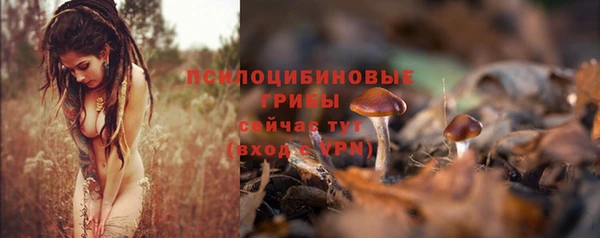 Альфа ПВП Горнозаводск