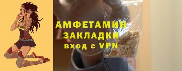 стаф Горняк