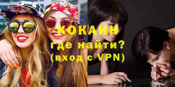 стаф Горняк