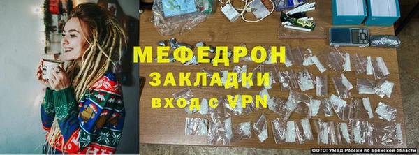 стаф Горняк