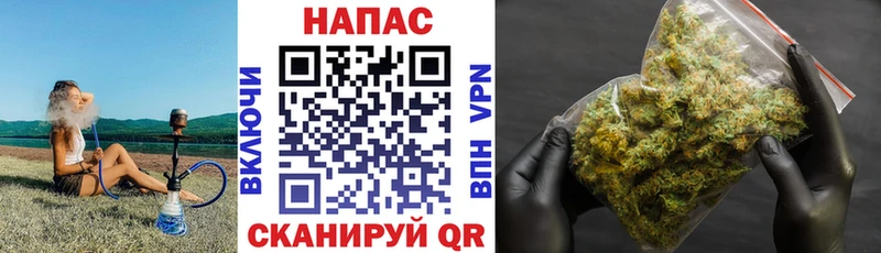 Бошки марихуана OG Kush  Купить закладки  Белая Калитва 
